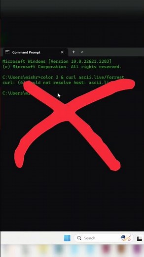 curl: (6) could not resolve host: ascii.live