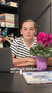 Uneori nu locul e problema. Ci schimbarea continuă. Plantele nu au nevoie de experimente zilnice. Au nevoie de stabilitate și timp. Mutarea poate ajuta. Dar doar atunci când există un motiv real. Tu cât de des îți muți plantele? 👀 Scrie-mi în comentarii. Pentru plante liniștite, nu stresate 🌿 #producatordeflori #paradisulculorilor #planttips | Paradisul Culorilor Oituz