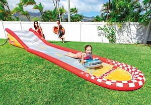 Racing Fun Inflatable Water Slide