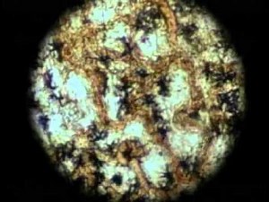 NASA KSNN - Nanotechnology