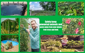 Watch Heavy Duty Bird Netting for Garden on Amazon Live