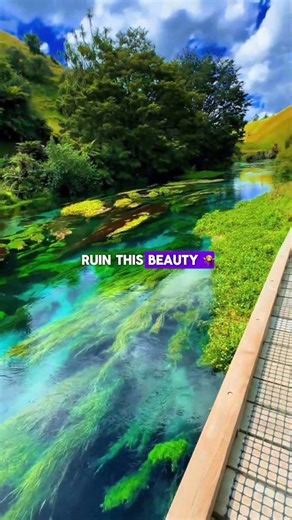 Lake so beautiful it’s tempting to swim 🏊‍♂️ 😍 #shorts