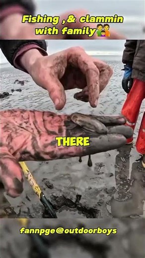finding cockles in sand of see with family👪#bushcraft #camping #outdoors #cockles