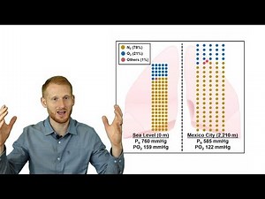 Altitude and Exercise (NEW VERSION IN DESCRIPTION)