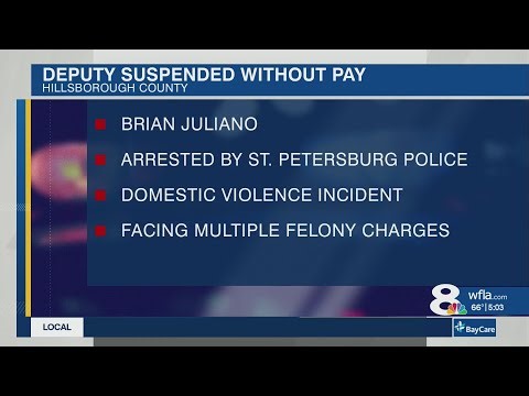 Hillsborough County deputy faces multiple charges after domestic violence incident