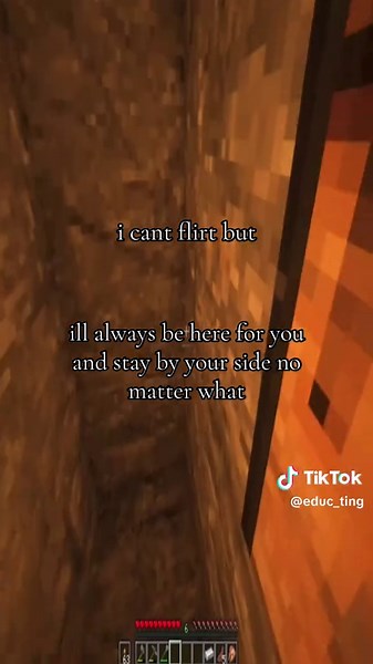 Minecraft: Always Be By Your Side Moments