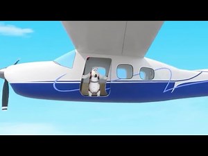 Bernard Bear | Backkom Social Media Likes And More | Cartoons for Kids Children