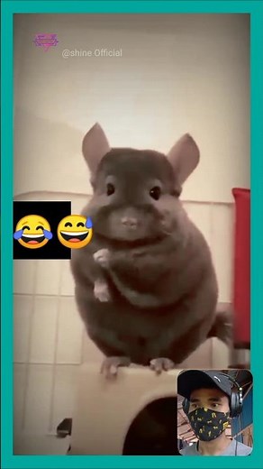 Mouse Funny Dance 😆 | Cutest Dancing Mouse Ever! 🐭💃 #Shorts