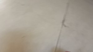 2.6K views · 21 reactions | Afghanistan Bodybuilding & fitness Federation (AFBBF) on Reels | Facebook