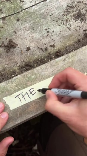 Homemade Spicy Tomato Sauce Recipe for Preserving