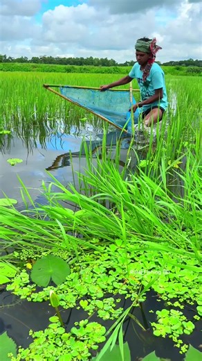 Village Fishing Life: Techniques and Traditions
