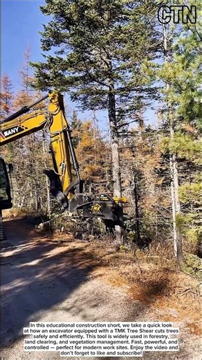 Extreme Forestry Tool! TMK Tree Shear on Excavator – Educational Short
