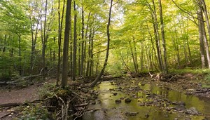 The history, significance and future of the Bruce Trail