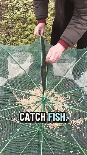 Easy & Fun Way to Catch Fish | Simple Fish Trap Tutorial 🐟