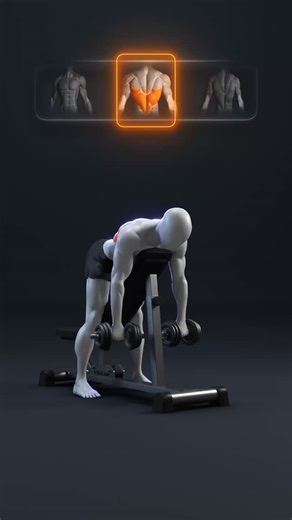 YouCan on Instagram: "🔥 Chest Supported Rows: Build a Complete Back Chest supported row variations are one of the best ways to build a strong, balanced back without using momentum. By supporting your chest, the work shifts directly to the lats, upper-mid back, rear delts, and upper traps. Different grips and angles allow you to emphasize thickness, detail, or overall back control. Focus on strict form, controlled reps, and a strong squeeze at the top instead of chasing heavy weight. 👉 3–4 sets