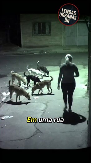 Lendas Urbanas on Instagram: "O vídeo mostra uma mulher caminhando tranquilamente pela rua com vários cachorros. Até aí, tudo normal. Mas de repente ela para. Olha diretamente para os cachorros… E o que acontece em seguida é no mínimo estranho. Um por um, os cachorros se curvam diante dela, como se estivessem reconhecendo alguma autoridade. Nenhum comando verbal. Nenhuma coleira puxada. Apenas obediência total. Logo depois, a mulher começa a correr. E os cachorros imediatamente vão atrás dela, s