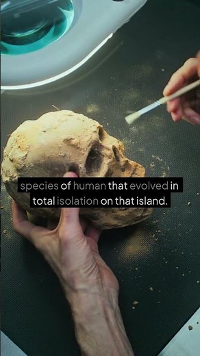 Scientists found a species of tiny humans on an island