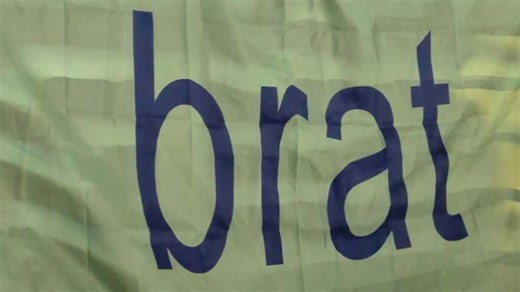 'What is brat?': Asking DNC attendees to describe the viral term