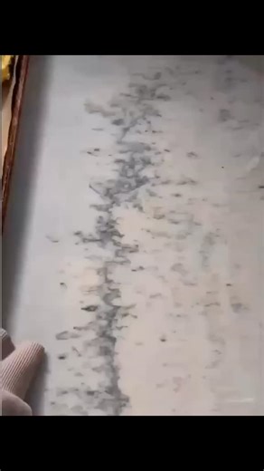 I’m big on meals that stabilize blood sugar because that’s how you stop cravings and mood dips. These spinach feta high-protein biscuits do exactly that. Savory. Simple. Actually filling. 👉 Comment “recipe” and I’ll send it #protein #biscuits #hormones #menopause #womenshealth | Shelly Viscio