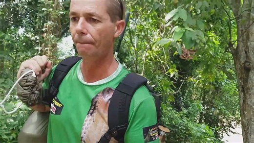 Snake discovery | Snake bites with world's biggest snakes