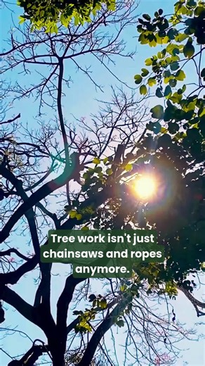 Embracing Technology in Tree Work and Arboriculture