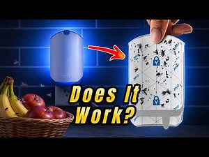 Zevo Flying Insect Trap Review – Does It Actually Work?