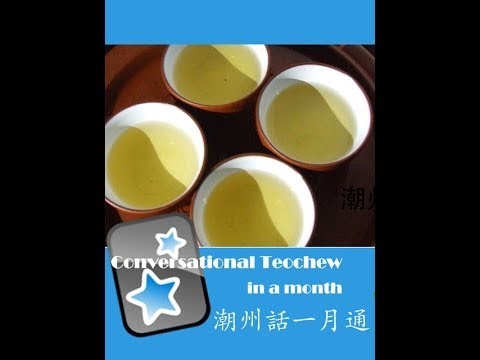 Learn Teochew - Conversational Teochew In A Month - Anki Demonstration 潮州话一月通
