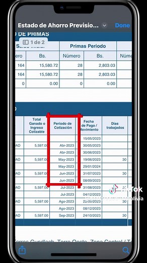 Cómo Descargar tu Estado de Ahorro Previsional Facilmente