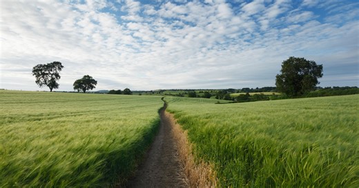 FBI to CISO: Unconventional Paths to Cyber Success