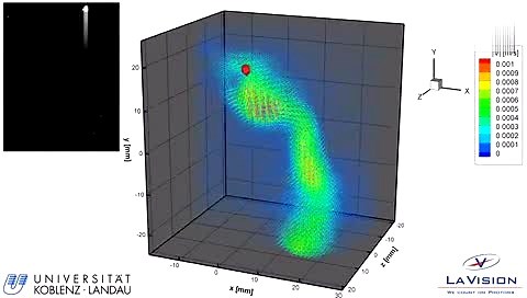 大型蚤自由游动的层析PIV测量 (Univ. Koblenz LaVsion)