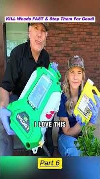 KILL Weeds FAST & Stop Them For Good! #bermuda #lawn #lawncare #howto #tips