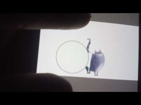 Chloe cat diaper hypermess