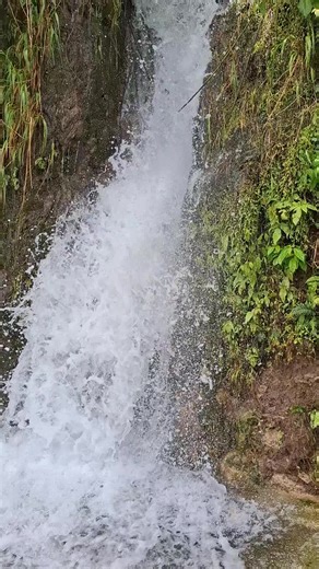 Videos de Ss Zz (@ss.zz9936) con “sonido original - Ss Zz”