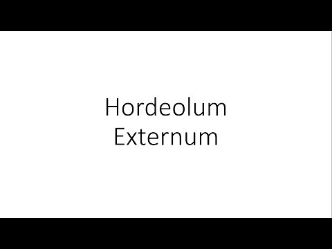 Hordeolum Externum (Stye) - Ophthalmology