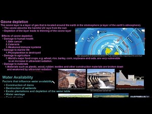 Grade 11 Life Sciences Human Impact Part 2