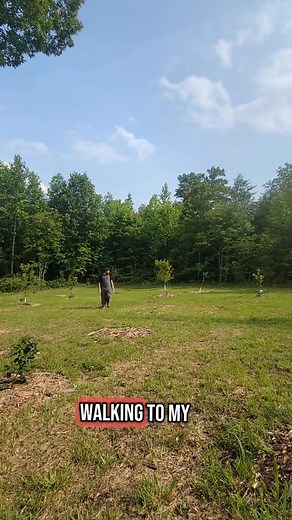 52K views · 2.7K reactions | Could you do it? #offgridliving #simplelife #offgrid #perserverance #minimalist #livingmybestlife #livingthedream | Off Grid & Growing | Facebook