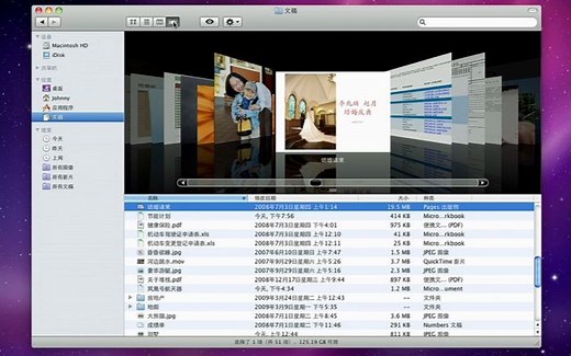 Apple Mac完全解析 中文 2010