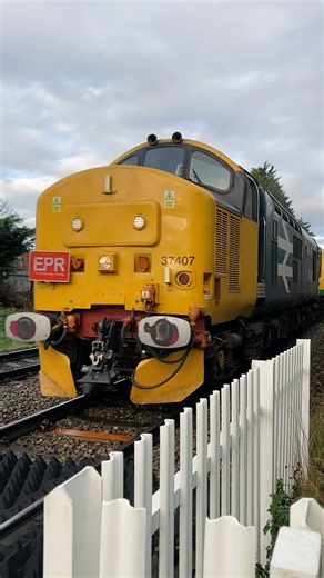 Class 37 #diesel #locomotive pulling new #train sets #coco