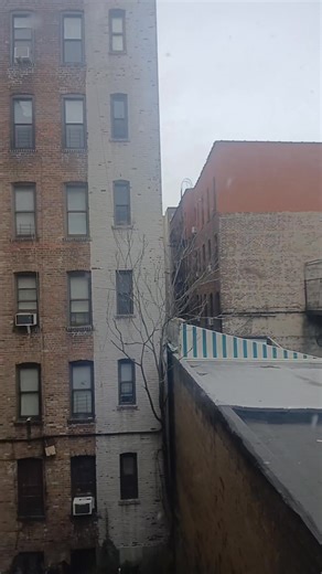 #Brooklyn #Atlantic 11:44 | Jamila Brooklyn