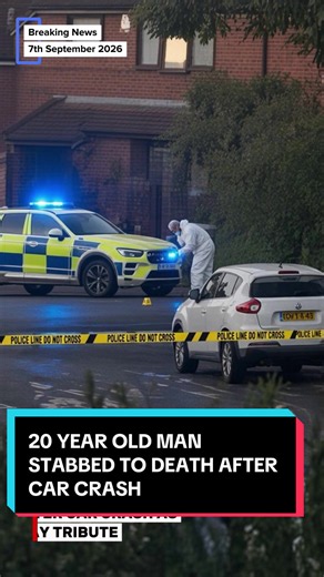 Jamie Evans stabbed dead after Orme Road car crash – Newcastle-under-Lyme