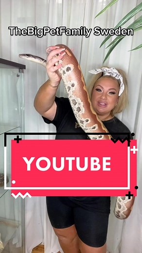The Big Pet Family Sweden: Epic Snake Python Pets Episode