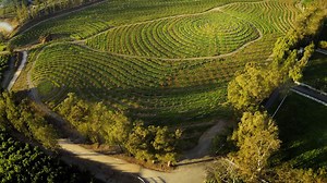 ‘The Biggest Little Farm’ is the New Back-to-Nature Documentary I Never Knew I Needed