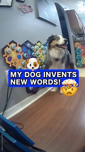 304K views · 9K reactions | Does you dog burp??? #dogs #talkingdog #cutedog #dogbuttons #smartdog #technology | Lets Go Rip | Facebook