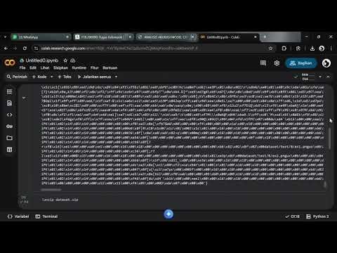 PENGUJIAN VGG19 VS EFFICIENTNET