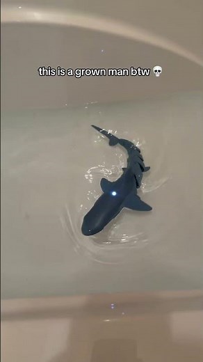 Remote Control Shark Toy – The Ultimate Summer Toy