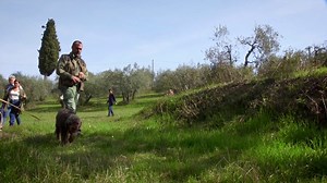 Hunt for your own truffles in Italy! | Truffles + pasta + more truffles = the perfect lunch. | By Tripadvisor | Facebook