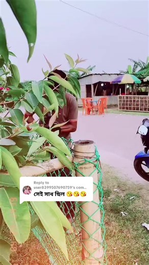 Fortnite Gameplay Highlights and Tips