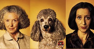 Do Dogs Look Like Their Owners? Science Says Yes