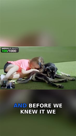 Watch the powerful journey of 100 rescued dogs as they move from uncertain beginnings to loving forever homes. This heartwarming video captures emotional adoption moments, second chances, and the people who opened their hearts to save lives. From shy pups finding confidence to families finding new best friends, these stories celebrate compassion, hope, and the life-changing impact of rescue and adoption. #DogRescue, #AdoptDontShop, #RescueDogs, #DogAdoption, #ForeverHomes, #AnimalRescue, #Adopti