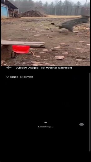 Allow Specific App to Wake Screen 📱🔔 (Android Hidden Setting!) how to do it